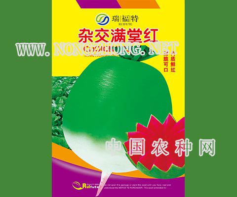 杂交满堂红